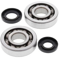 Lagersatz Kurbelwelle All Balls 24-1047 FüR Kawasaki KX 250 Ccm Bj. 2002 - 2008