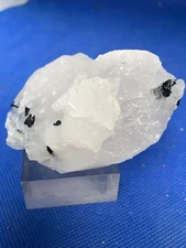 Natural Black Tourmaline on Quartz – 172g Collector Mineral Specimen – Raw Heali