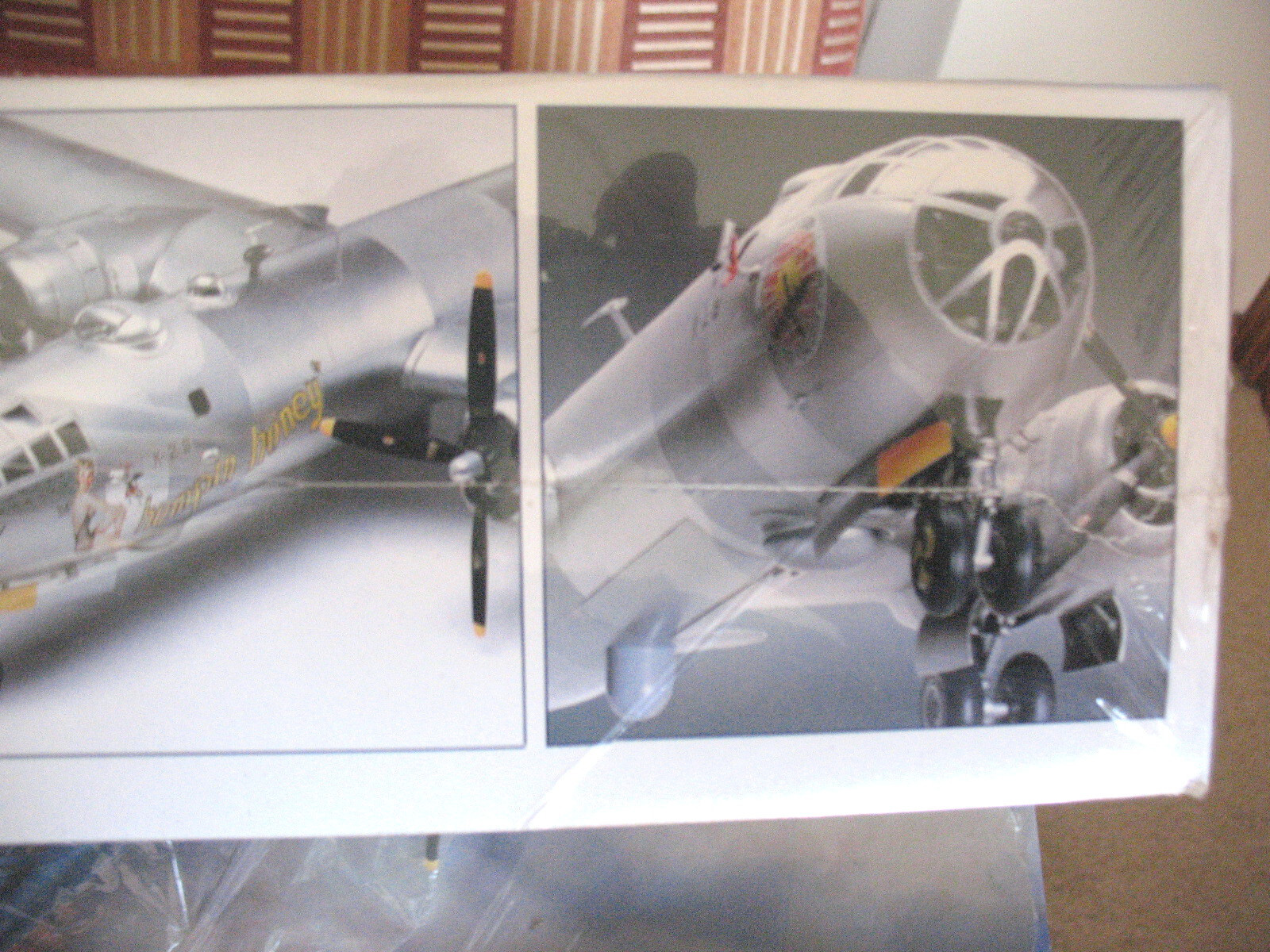 Picture 6 of 8