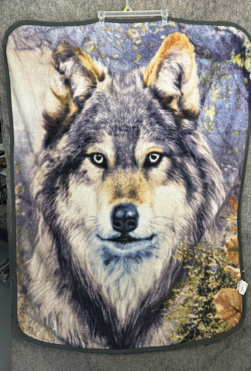 Picture 5 of 5