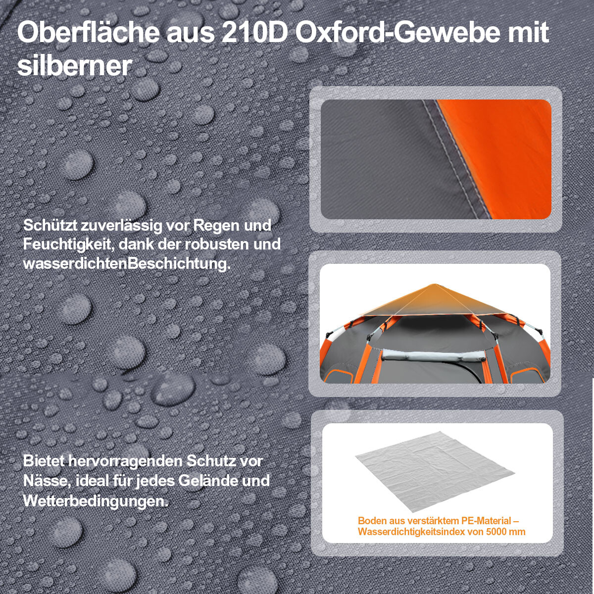 Bild 3 von 12