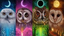 Vier Saisoneulen Diamantmalerei Mosaik Kit 30x40 cm 