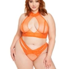Fredericks of Hollywood Alexia Love Mesh Bra And Panty Set 2X NWT NEW