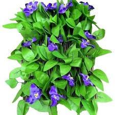 Simulated Flower Fence for Festive Outdoor Use Combined Size 40cm 20cm