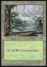 Forest C - Heavy Play MTG Tempest