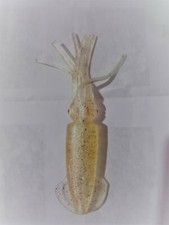 5pc 10cm White Soft Squid Lures Fishing Saltwater Silicon Fishing Bait Luminous