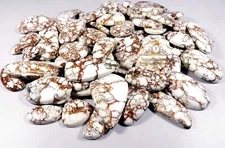 Certified Natural 1000 Ct Wild Horse Magnesite Jasper Cabochon Mix  Lot Gemstone