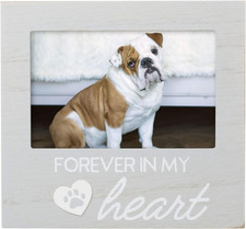 Pet Forever in My Heart Memorial Keepsake Picture Frame - Keepsake for Dogs and
