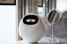 Tapia AI Robot Companion Learning Your Lifestyle Design In Japan