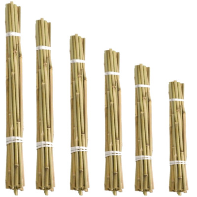 ebay garden canes