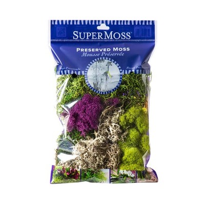 (23311) Elegant Decorative Mixed moss, MultiColor, 120 cu.in., white