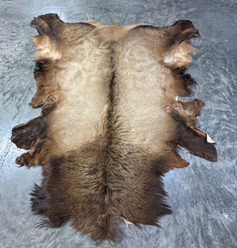 Genuine Full Elk Hide Rug (6' 4" x 6' 4" at widest part) Great Dorsal Stripe