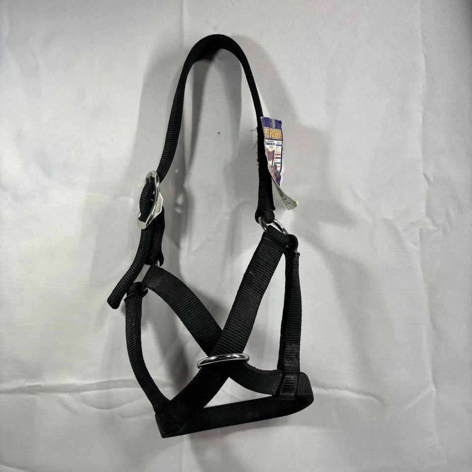 Halter de nailon Weaver Livestock negro mediano - halter de exhibición ajustable nuevo con etiquetas Foto 3 de 3