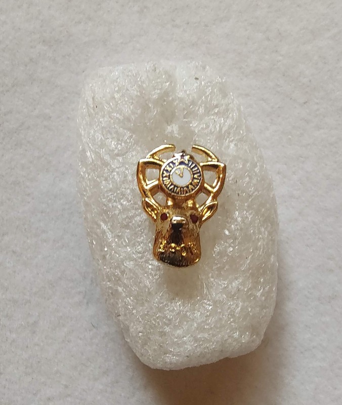BPOE ELKS Pin Back ~ 11th Hour  