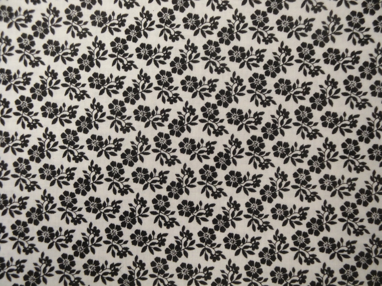 Picture 1 of 7