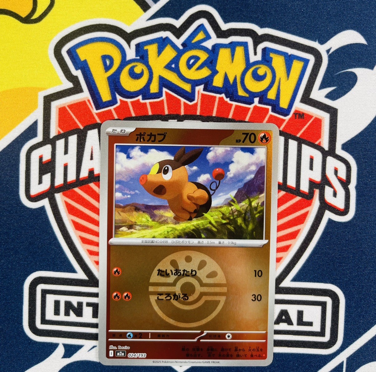 POKEMON Japanese Tepig 024/193 Mega Dream ex Friend Ball Reverse Holo Card MINT