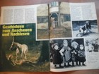 Bild 6 von 8