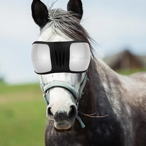 Gafas ecuestres premium para protección mejorada de caballo cubierta de ojos de caballo - Imagen 27 de 41