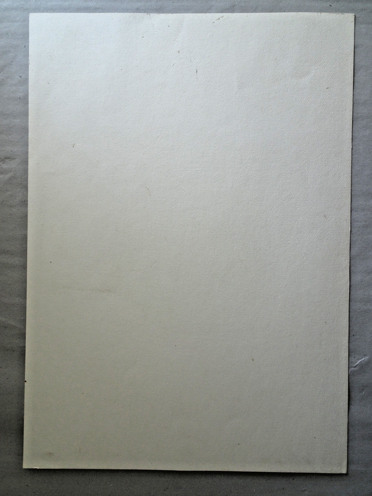 Bild 8 von 8