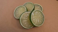 Fake Lime Slices - faux, replica, artificial, fake