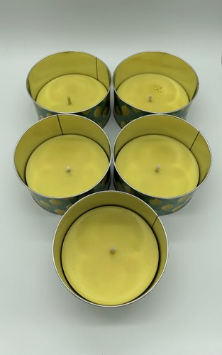 10 STK. XXL CITRONELLA KERZE IN METALLSCHALE H8,5 x D16cm MÜLLER KERZEN OUTDOOR - Bild 4 von 4