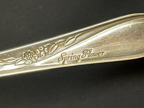 Vtg. 1847 Rogers Bros~Spring Flower~ SILVERPLATE 7-3/4" ICED TEA SPOON - Picture 2 of 5