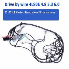 03-07 Ls Vortec Stand Alone Wire Harness Drive By Wire 4l80e 4.8 5.3 6.0 Dbw