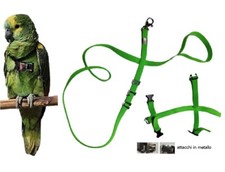 Elastic Parrot Harness Attachments And NAME Amazon Steel Ash