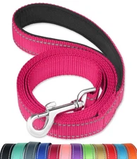 6FT Reflective Dog Leash with Soft Padded Handle for TrainingWalking Lead for...