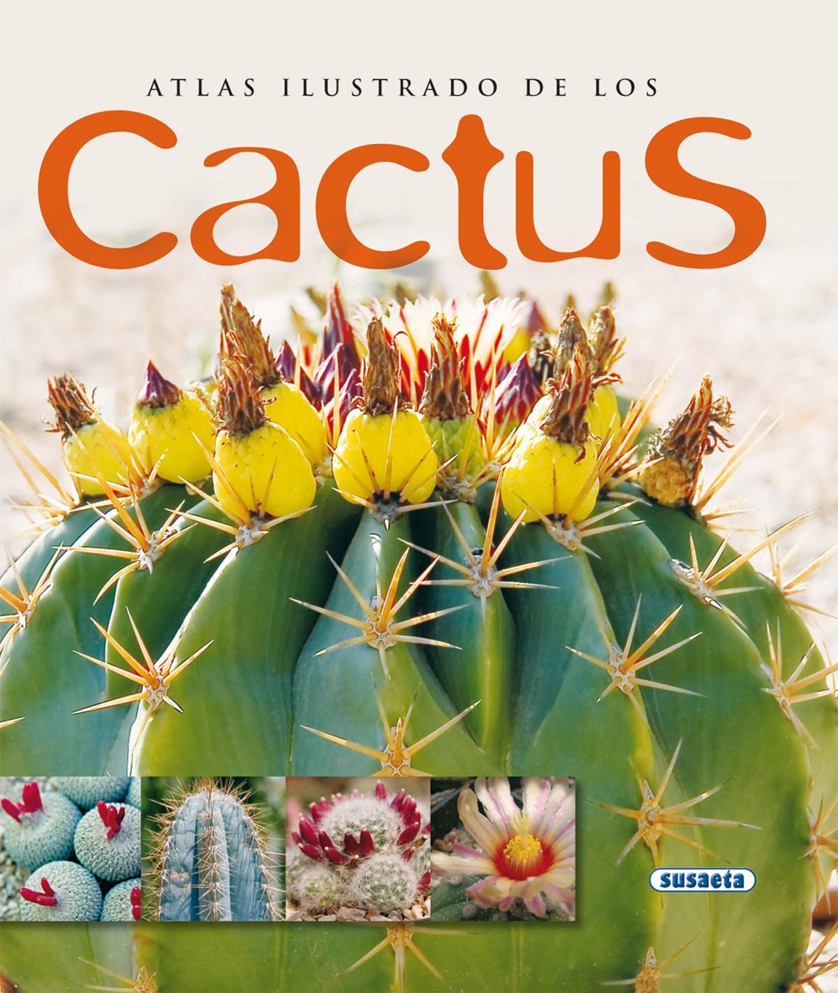 Atlas ilustrrado de los Kaktus / Illustrierter Atlas des Kaktus - Not Specified