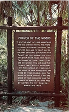 POSTCARD SCENE Tampa Florida FL d/20 AI5594