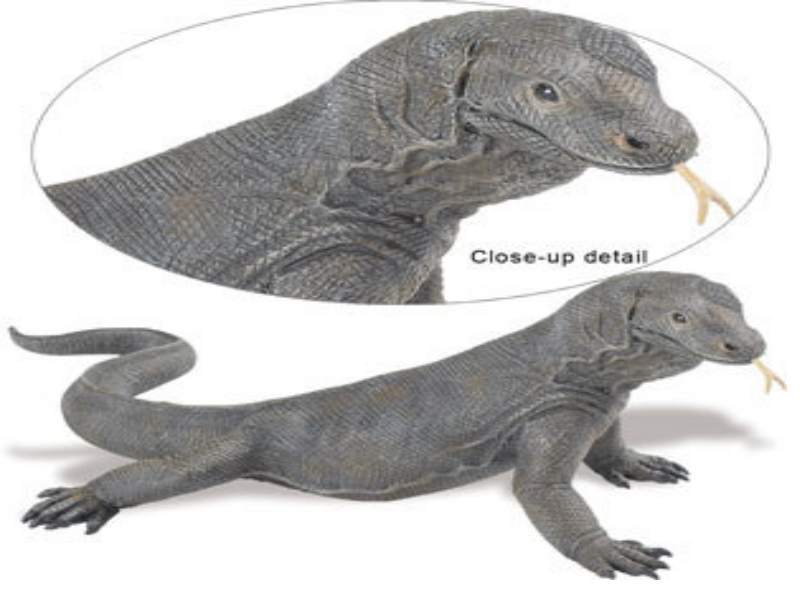 Safari Ltd 268829 Komodo Dragon 24 Cm Series Incredible