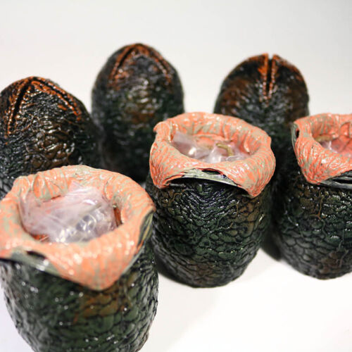 NECA Alien Eggs 6-Pack Cage-Free Accessory Set w Aliens Face Huggers No Box - Picture 2 of 8