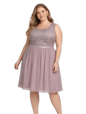 NWT David’s Bridal Rose Lace Chiffon A-Line Bridesmaid Formal Romantic Dress 14