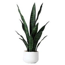 Artificial Snake Plant 22 Inch Fake Sansevieria Fake Agave Potted Plants Green