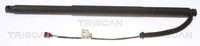 Triscan Heckklappen DäMpfer Gasfeder Kofferraum 8710 29304 FüR VW Tiguan AD1 AX1