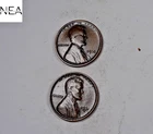 1913+1931-D Lincoln Wheat Penny Cent Set/Lot ~ Fine/VF ~ ZWL42