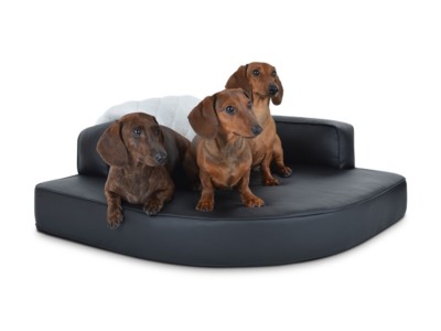 menschliches hundebett Menschliches Hundebett für Erwachsene & Haustiere | Extra großes  Beruhigungsbett main image 0