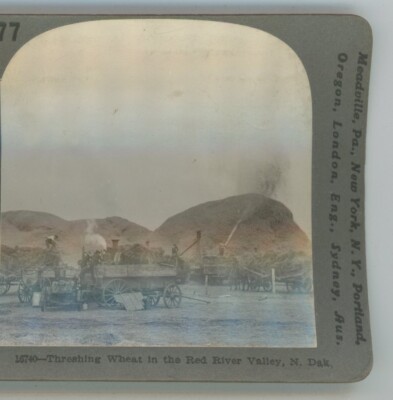 Threshing Wheat in the Red River Valley North Dakota ND Stereoview