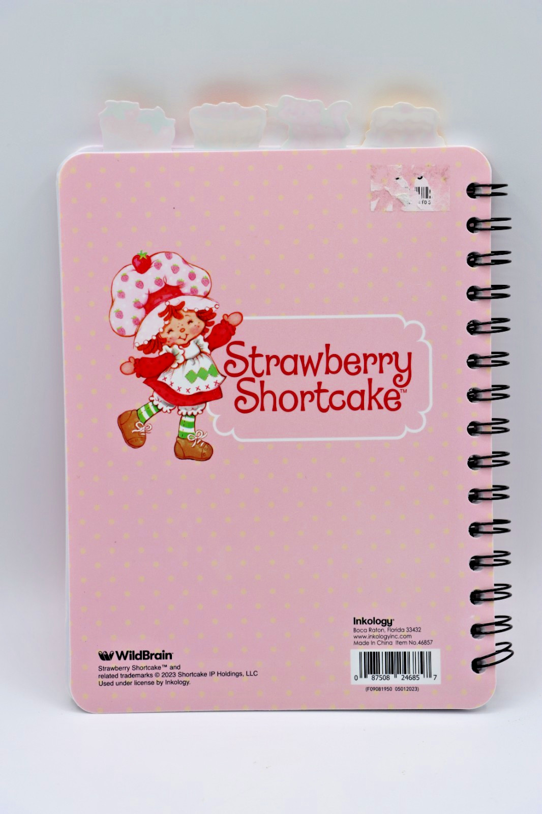 2023 Strawberry Shotcake 4-Tab Notepad Journal 6.5" x 8.5" NEW WildBrain
