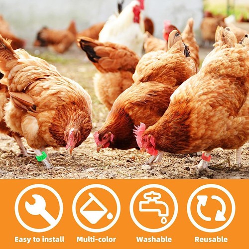 50/100pcs Chicken Leg Rings Clip-On Band Tags Numbered Leg Rings for Poultry - Picture 5 of 14