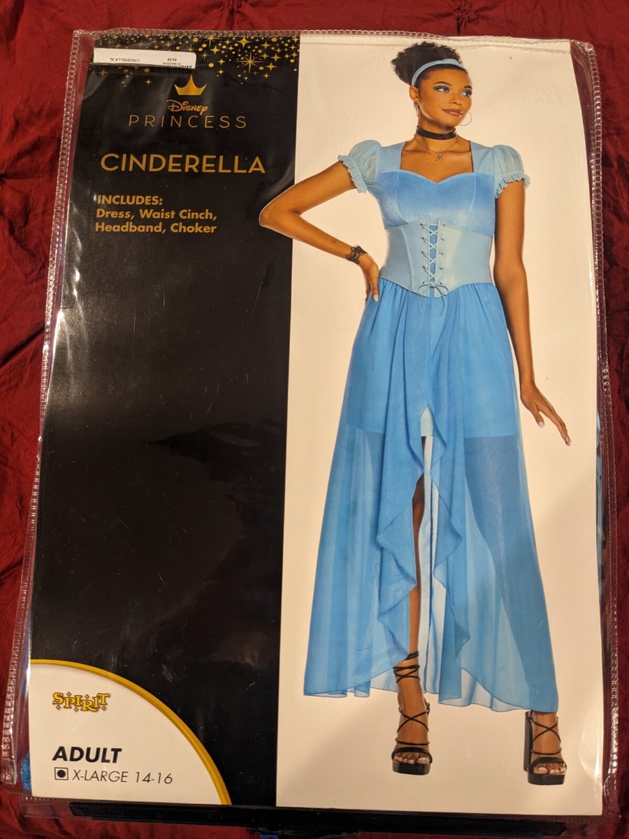 Disney Princess Costumes For Adults Mulan Disney Princess Costume — free download