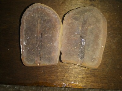 Mazon Creek Fossils 2 Piece Open Fern Concretions 1 Pair Coal Pit Pre Dinosaur 5