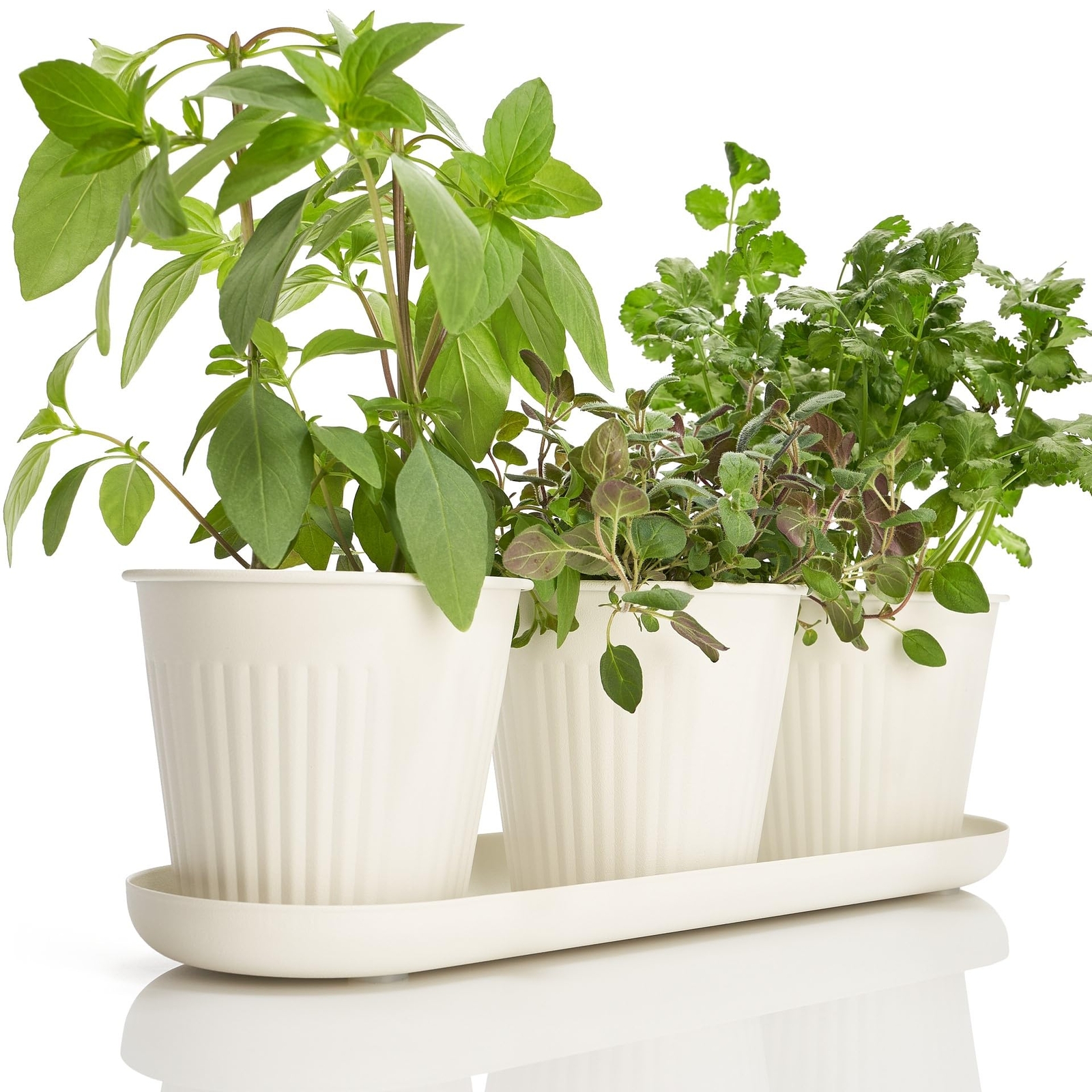 Stylish 3-Piece Indoor Herb Garden Set for Kitchen Window Sill Decor