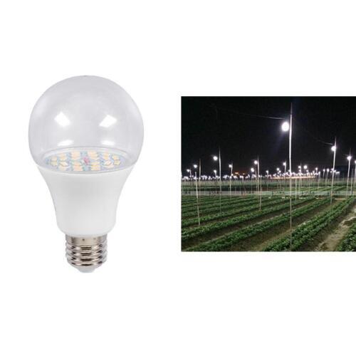 EGLO 9195 - Lampada da esterno LATERNA 5 1xE27/100W bianco EGLO 9195 - Lampada da esterno LATERNA 5 1xE27/100W bianco