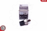 Esen Skv 17SKV593 Sensor, Kraftstoffdruck FüR Land Rover