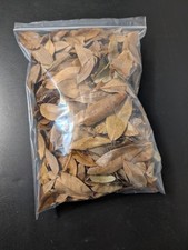 Live Oak Leaf Litter - Triple Treated 