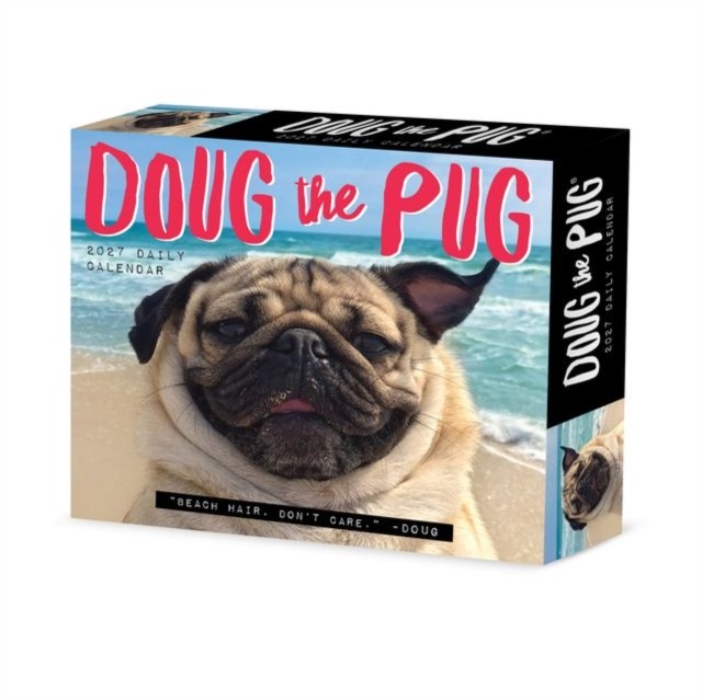Doug the Pug 2027 Box by Willow Creek Press (Paperback Book) - Image 3