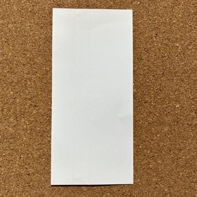 Dreamcast Le Mans 24 Hours LE MANS 24HOURS Japan YA