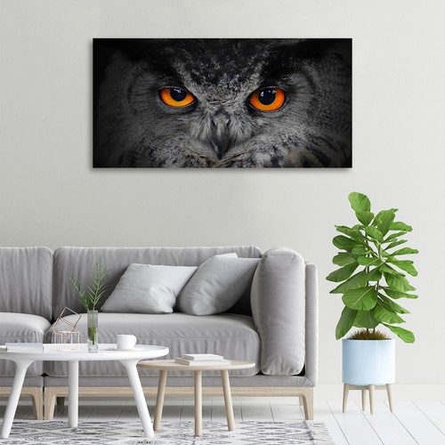 Glas-Bild Wandbilder Druck auf Glas 100x50 Deko Tiere Teufelsaugen Eule - Bild 2 von 6